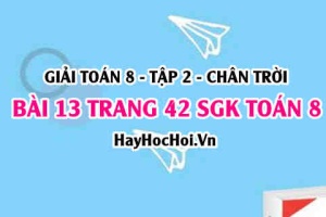 Bài 13 trang 42 Toán 8 Tập 2 Chân trời sáng tạo